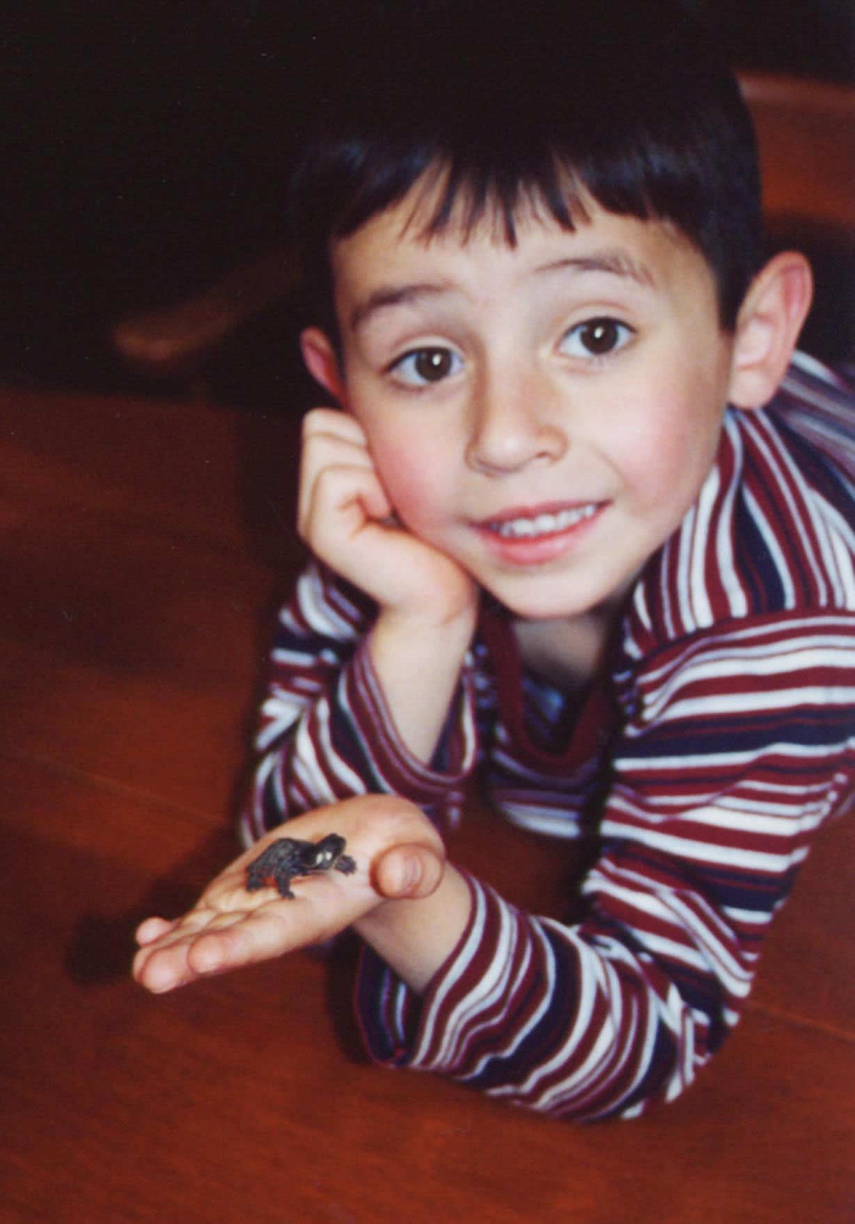 Boy with Turtle